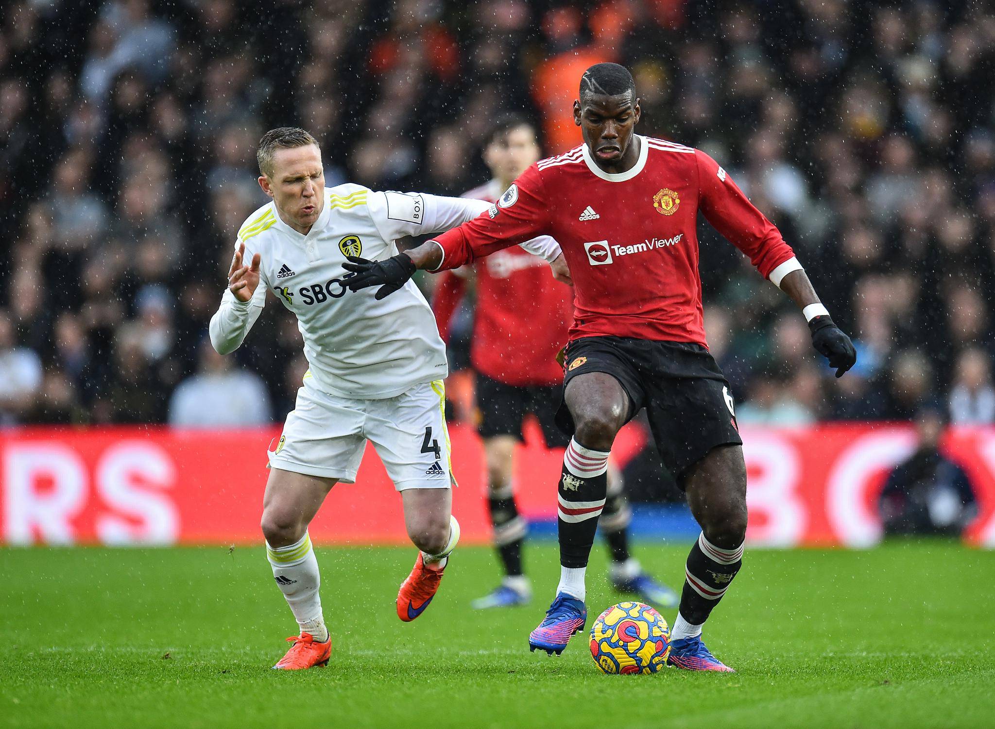 冰团队不仅 冰团队不仅